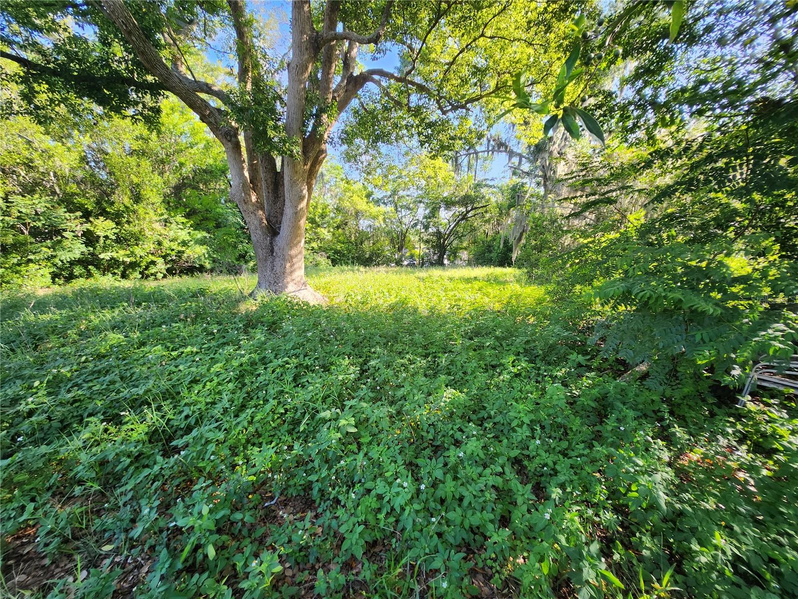 1434 Newhope Road