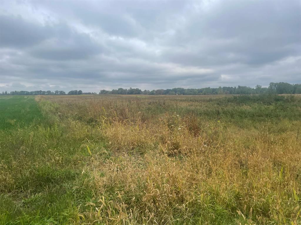 49+ acres of good farm land just outside of Rosebush. Currently lease for Organic farming. Solid lease on the farm and the land has a solar lease in addition to farm lease. Solar lease goes with the farm. Farm is fully tiled recently.