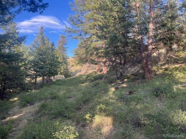 Lot 4630 Spring Road