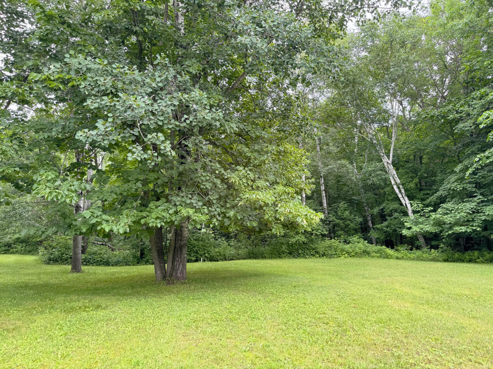 1473 Ann Lake Road