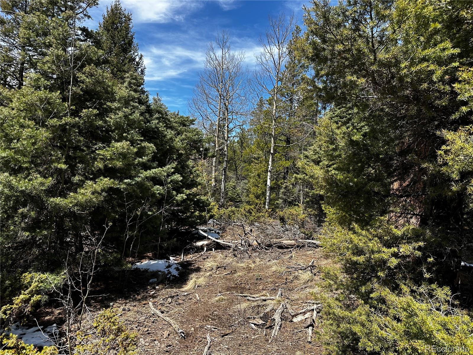 Lot 174 Ferris Place