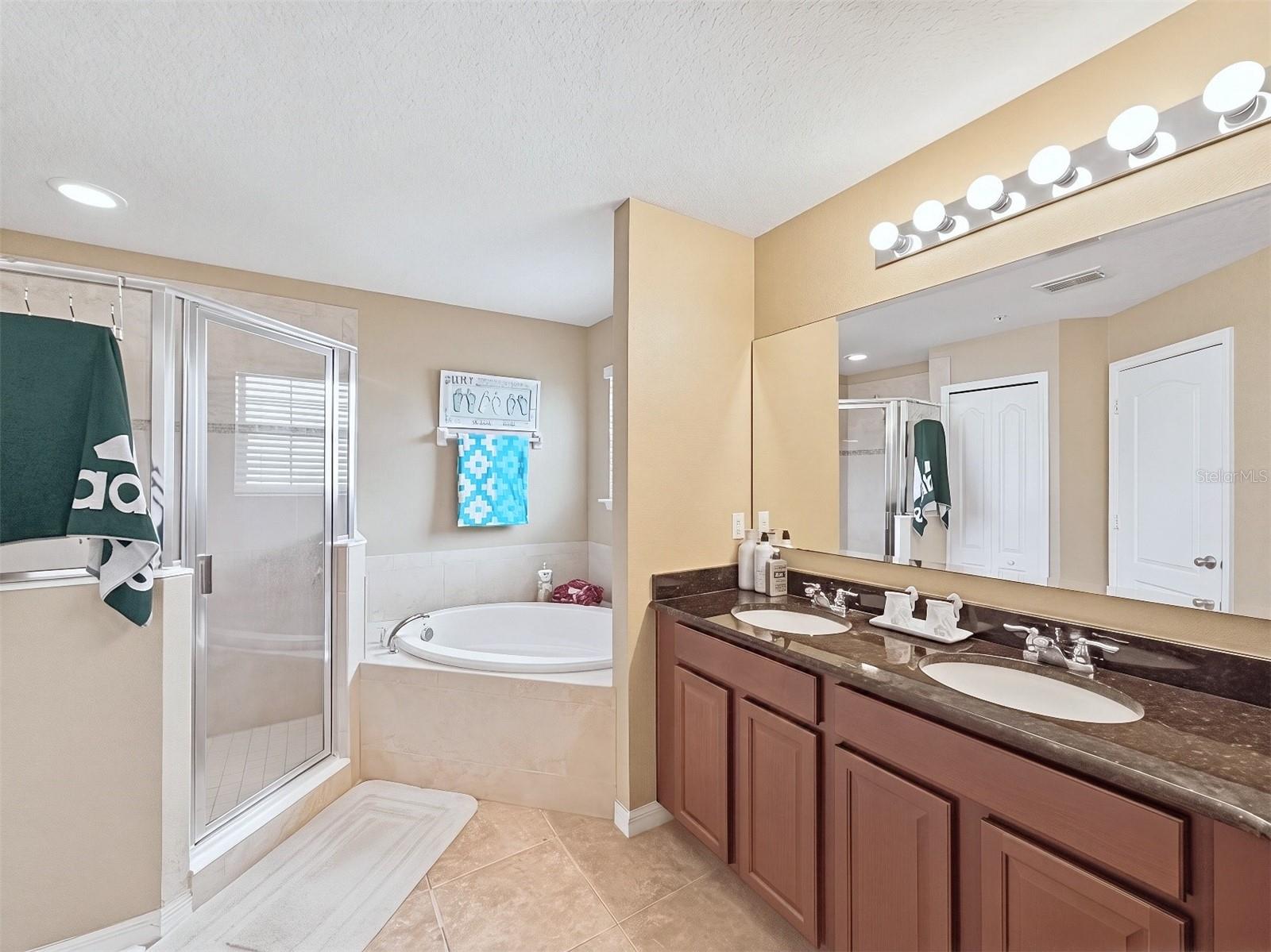 4309 Regal Town Lane