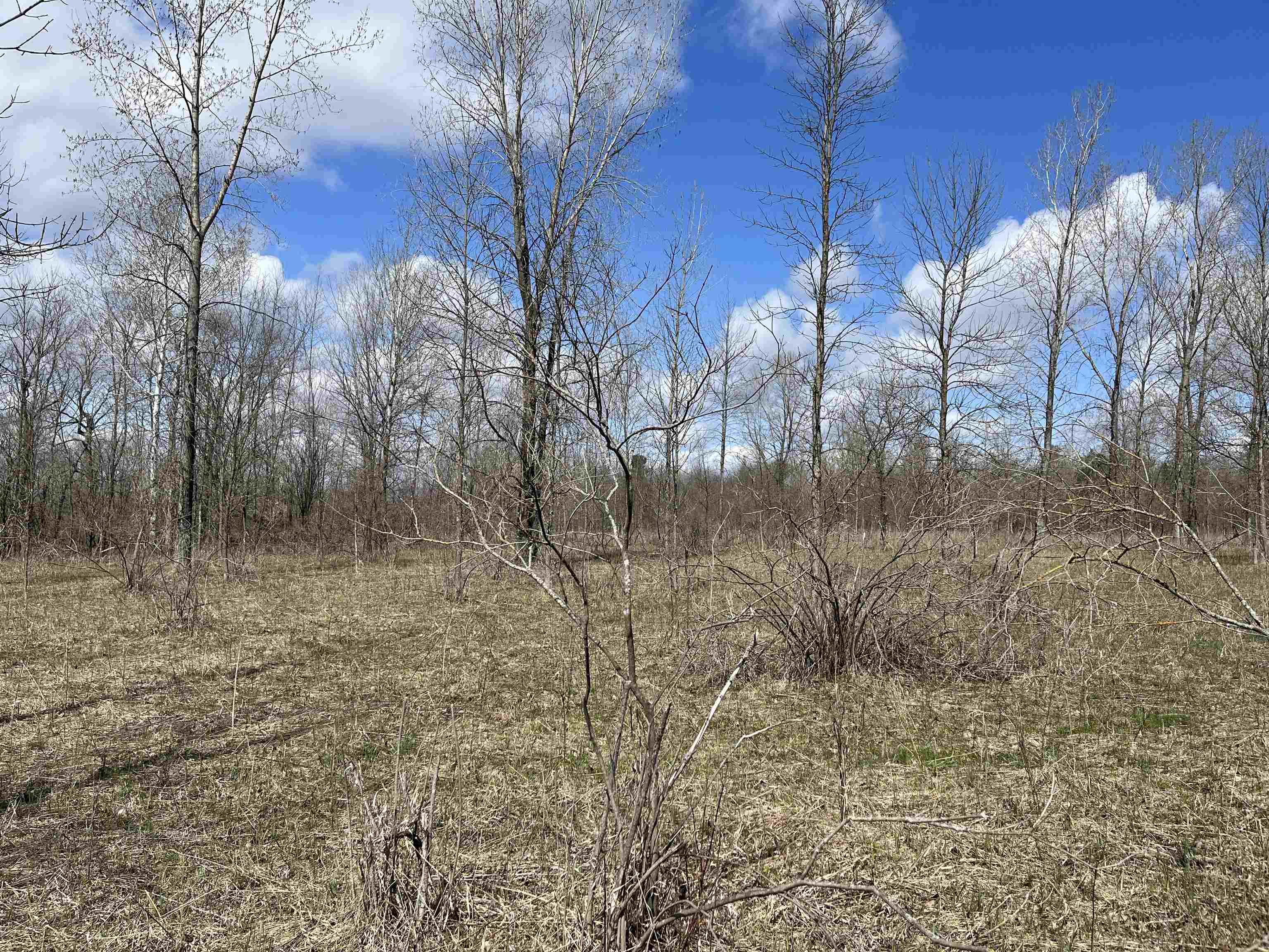 FUNK Road Land for sale in OCONTO, Wisconsin, 50284923 54139
