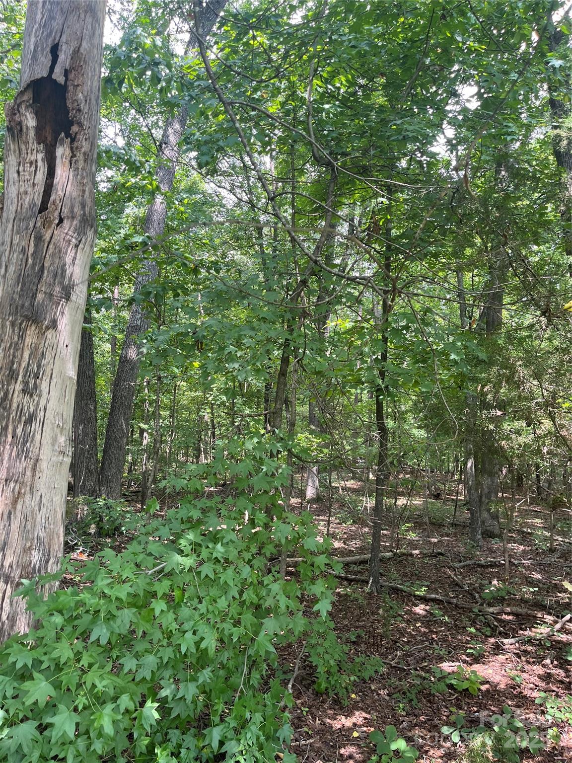 Just under 28 acres of wooded land in the city limits of Albemarle!  Located at the edge of an older, established neighborhood, Wesley Heights.  Also, located across the street from the newer Morgan Hills subdivision. Zoned R-10 for more dense development.