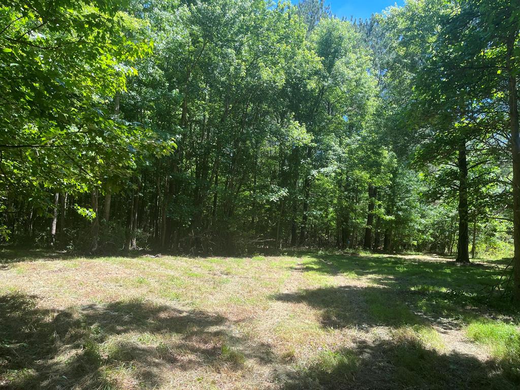 Enjoy the peace and privacy of your own 9-acre wooded retreat on the Eastern Shore. This private recreational tract offers a quiet rural setting with road access and manageable acreage, ideal for hunting, camping, trails, or a personal weekend getaway. A great opportunity for buyers seeking affordable land for outdoor enjoyment or long-term ownership without the upkeep of a larger parcel. Added bonus-it's just minutes from Guards Shore Beach!