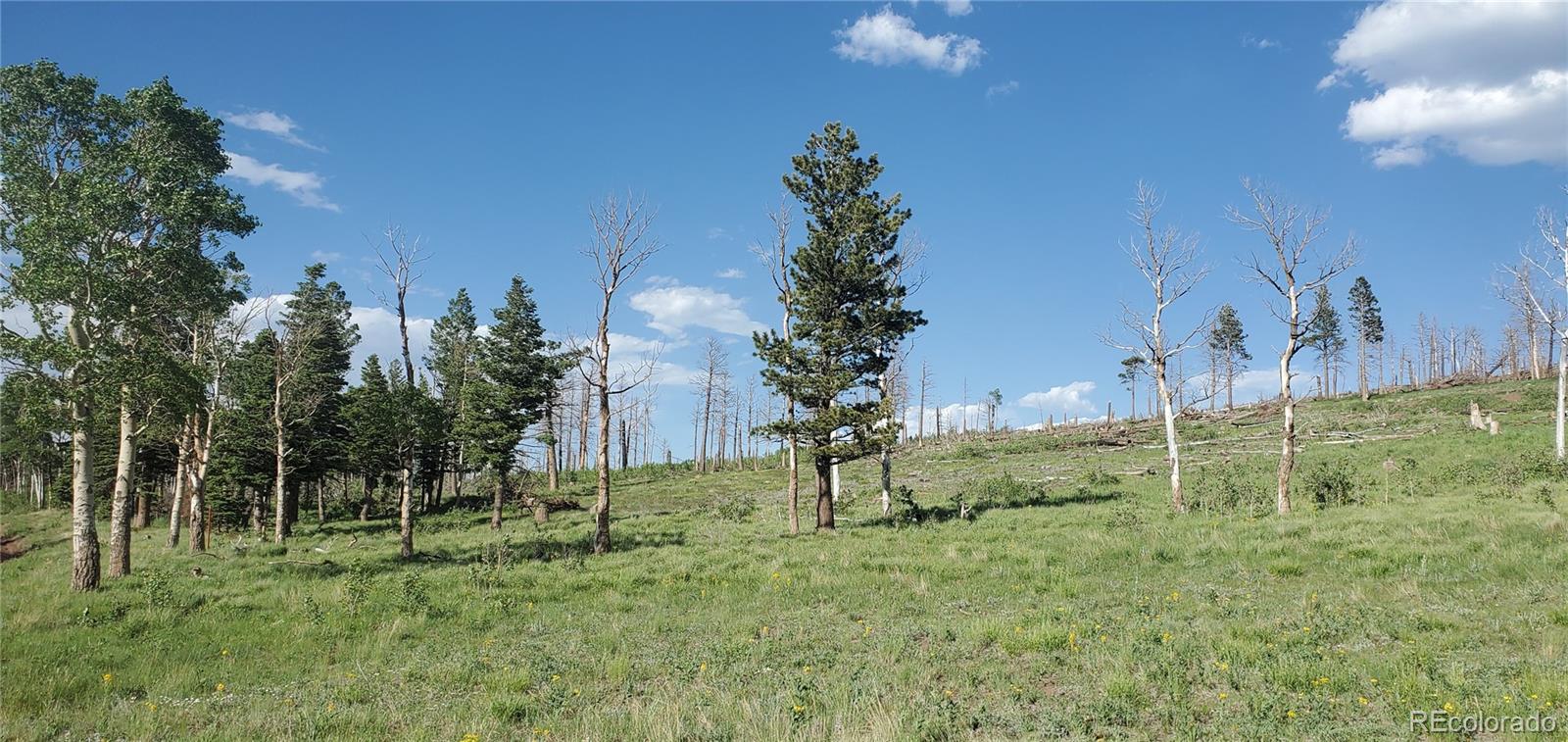 Lot 2120 Sigler Drive