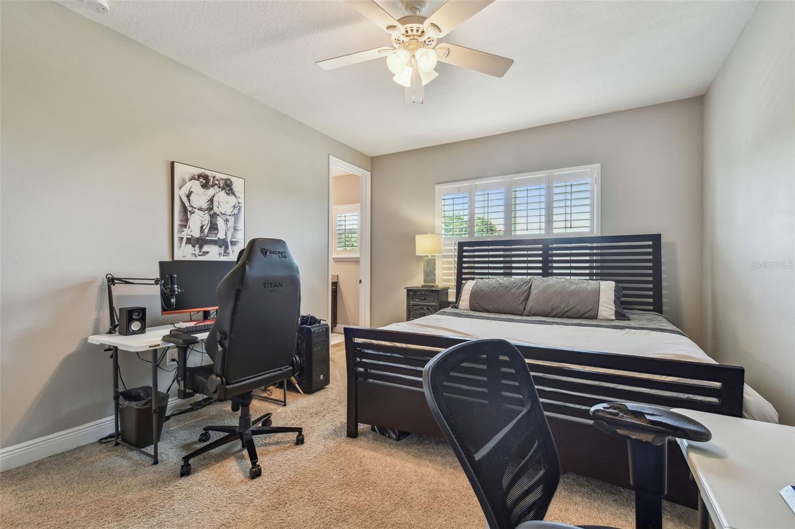 13427 Canopy Creek Drive