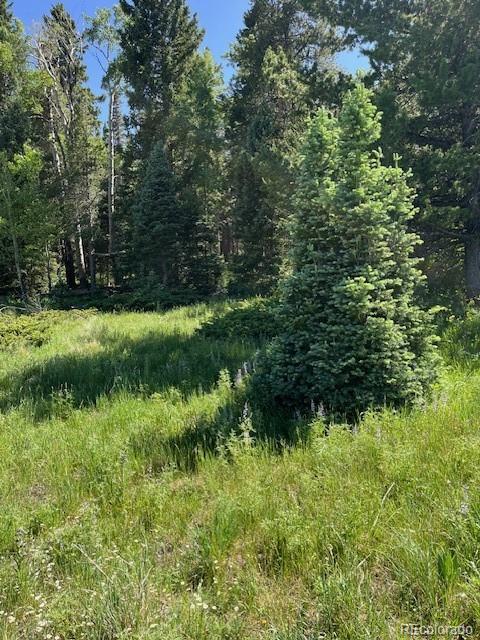 Lot 2684 Coder Place