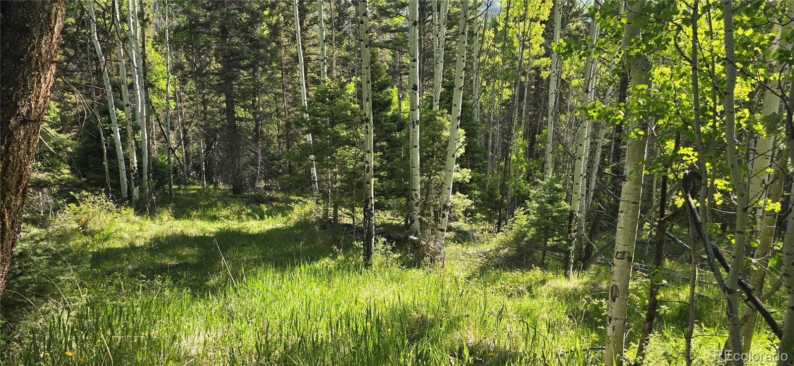 Lot 6385 Jaquez Road
