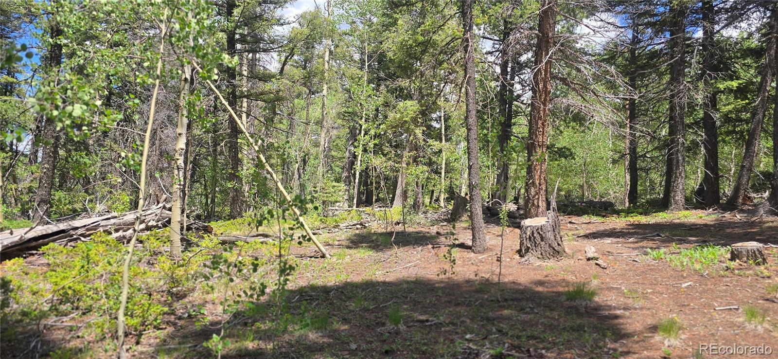 Lot 5778 Balleroy Road
