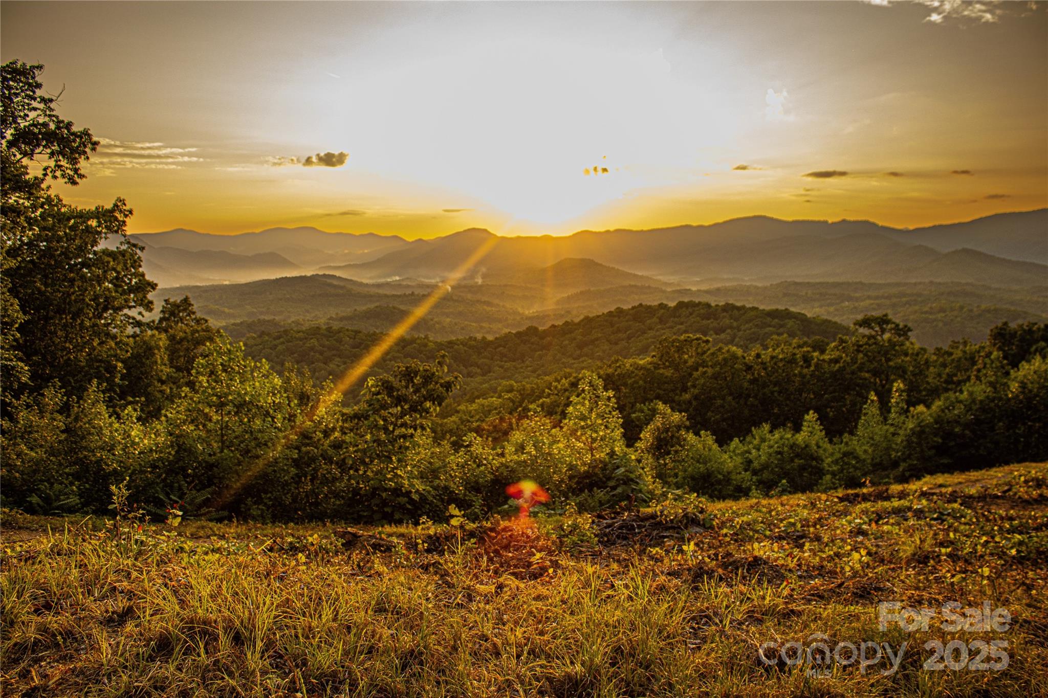 Not all luxury is built. Some of it is discovered.An extraordinary opportunity awaits within New Forest Mountain—over 60+ acres of gated, infrastructure-ready land anchored by one of the most compelling natural features in Western North Carolina: your own private ±175-foot waterfall, cascading through the heart of the property and setting the tone for a sanctuary that is both powerful and serene.This is far more than a mountain tract. It is a rare convergence of scale, water, elevation, and readiness—a setting where sweeping, unobstructed mountain views frame a landscape shaped by flowing creeks, quiet forest paths, and dramatic changes in terrain. Here, every step feels intentional, every vista earned.Private trails invite exploration—leading to sandy-bottom streams, shaded swimming holes, and the waterfall itself, where a natural rock ledge forms a cooling cascade and an unforgettable sensory experience. The sound of moving water, the stillness of the forest, and the privacy of the land create a sense of calm that is increasingly difficult to find.Beyond the waterfall, the property features a tranquil man-made pond, meandering creeks, abundant wildlife, and multiple cleared homesites, each thoughtfully positioned to offer privacy and commanding outlooks. The foundation is already in place: underground power and water access are installed, allowing you to move directly into the building phase—whether your vision is a refined mountain retreat, a contemporary glass residence, or a collection of cabins designed for family, guests, or legacy use.Located within a secure, gated mountain community, this tract balances seclusion with accessibility. Enjoy proximity to everyday essentials while remaining centrally positioned—approximately one hour to Asheville or Greenville/Spartanburg, 1.5 hours to Charlotte, and just minutes from Lake Lure, Chimney Rock, and Hendersonville for dining, recreation, and seasonal events.Notable Features:• Private ±175-foot waterfall—rare, dramatic, and entirely yours• Over 60+ acres of diverse, usable terrain• Multiple cleared homesites with long-range mountain views• Underground power in place; water available• Pond, creeks, trail system, and natural recreation areas• Gated setting offering privacy and peace of mindAdditional acreage and unique features may be available by request, including access to a private natural cave, expanded homesites, and extended mountain views—with the potential to combine into a much larger legacy holding.Properties of this caliber—especially those defined by water, views, and readiness—are exceptionally difficult to replicate at any price point.Proof of funds or pre-approval required prior to touring. Agent-accompanied showings only.This is a land offering that must be walked, heard, and felt to be fully understood.