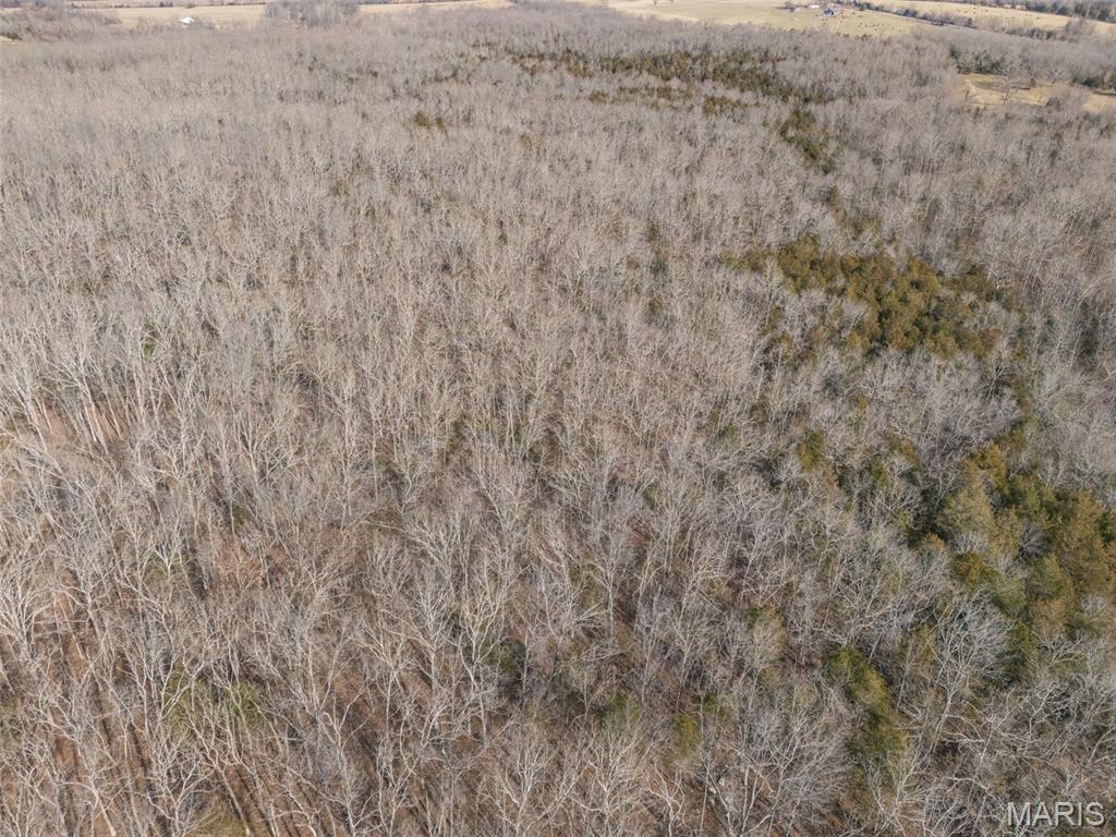 12.5+/- Acres On Effin Road