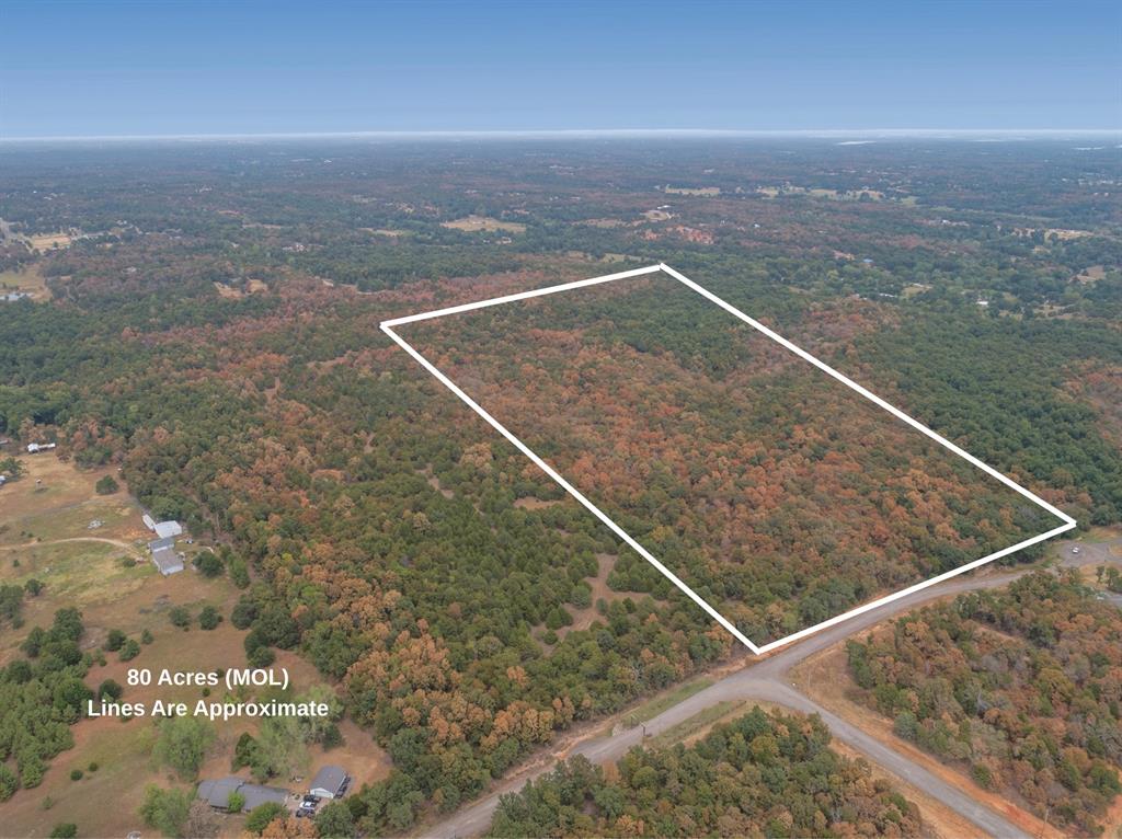 Unlock endless possibilities on this stunning 80-acre (MOL) wooded parcel, ideally positioned to offer incredible privacy and a picturesque natural backdrop for your custom dream build, private estate, or rural retreat. Covered in mature trees and rolling scenery, the property provides a peaceful country setting while maintaining convenient access to nearby commuter routes and surrounding metro amenities. Exceptional versatility defines this acreage—enjoy it as an expansive standalone homestead or combine it with the adjoining parcel (MLS #1246727) to secure a massive, seamless 160-acre estate. Whether you're looking to build immediately, hold for future investment, or design a private sanctuary with ultimate space, this rare land offering is ready for your vision—reach out today for more details or to schedule a tour!