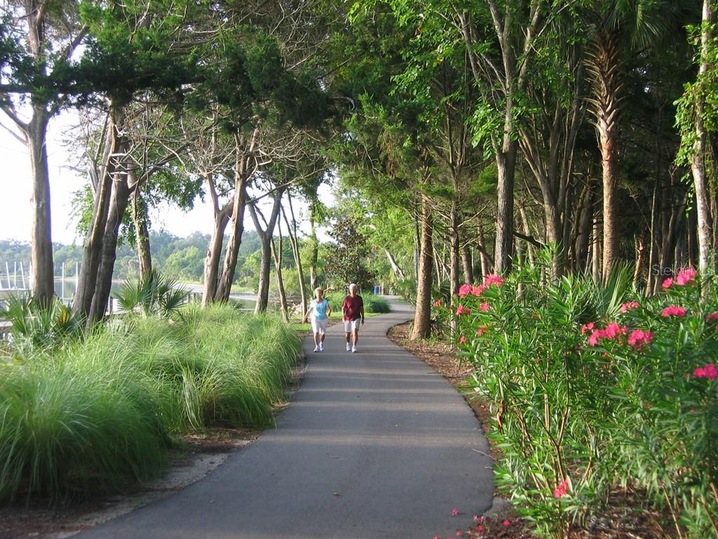 100 Laguna Forest Trail