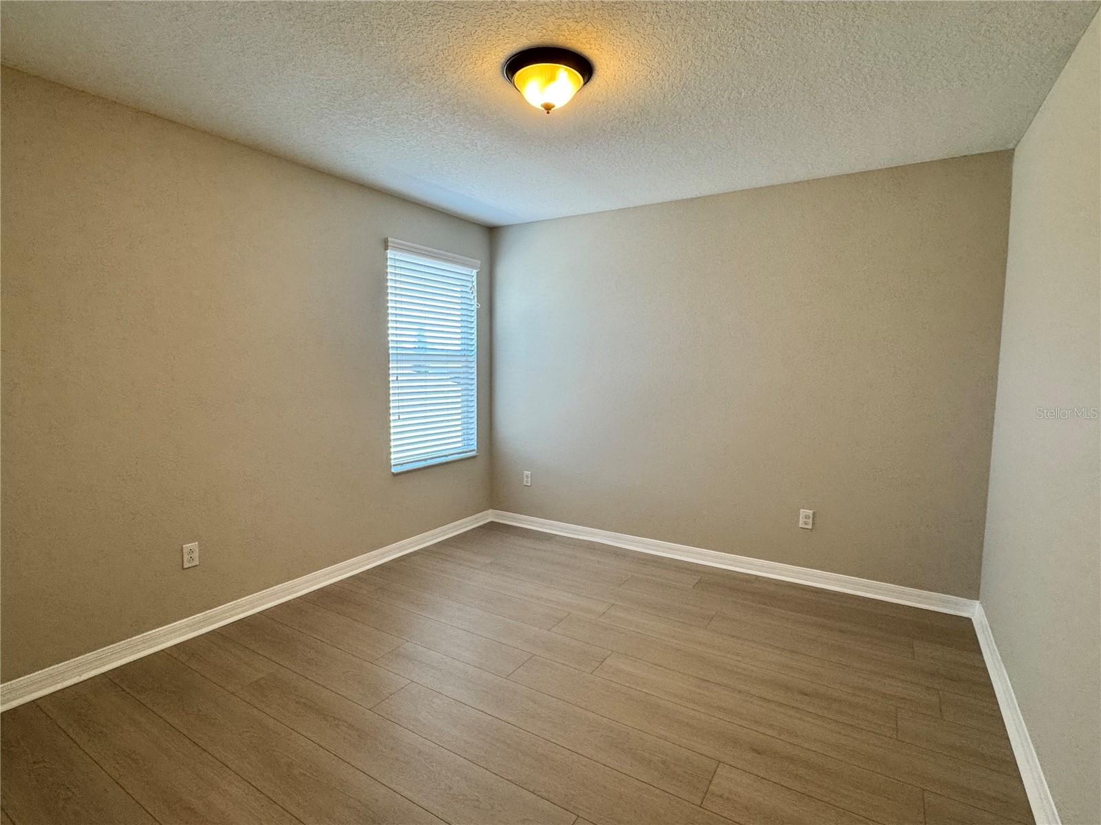 10021 Crested Fringe Drive