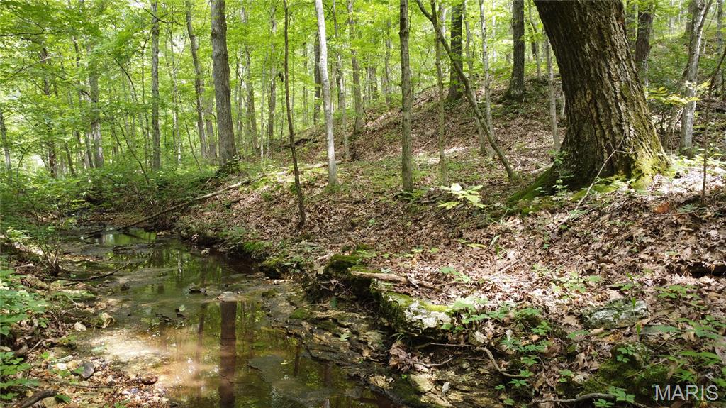 10223 San Juan Trail