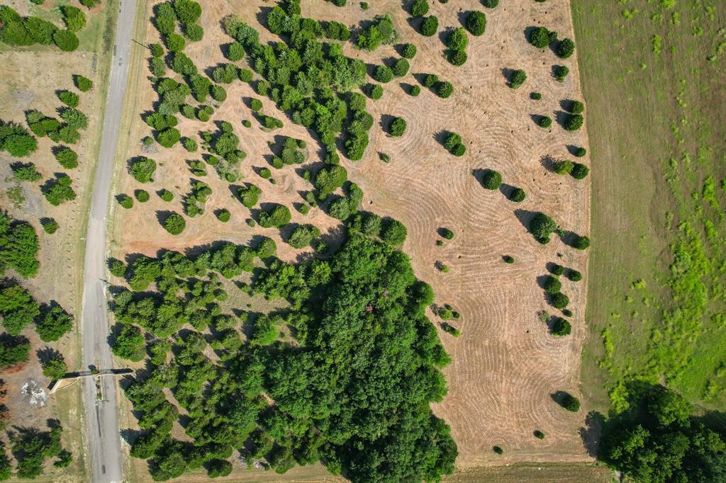 Lot 11 Baybridge