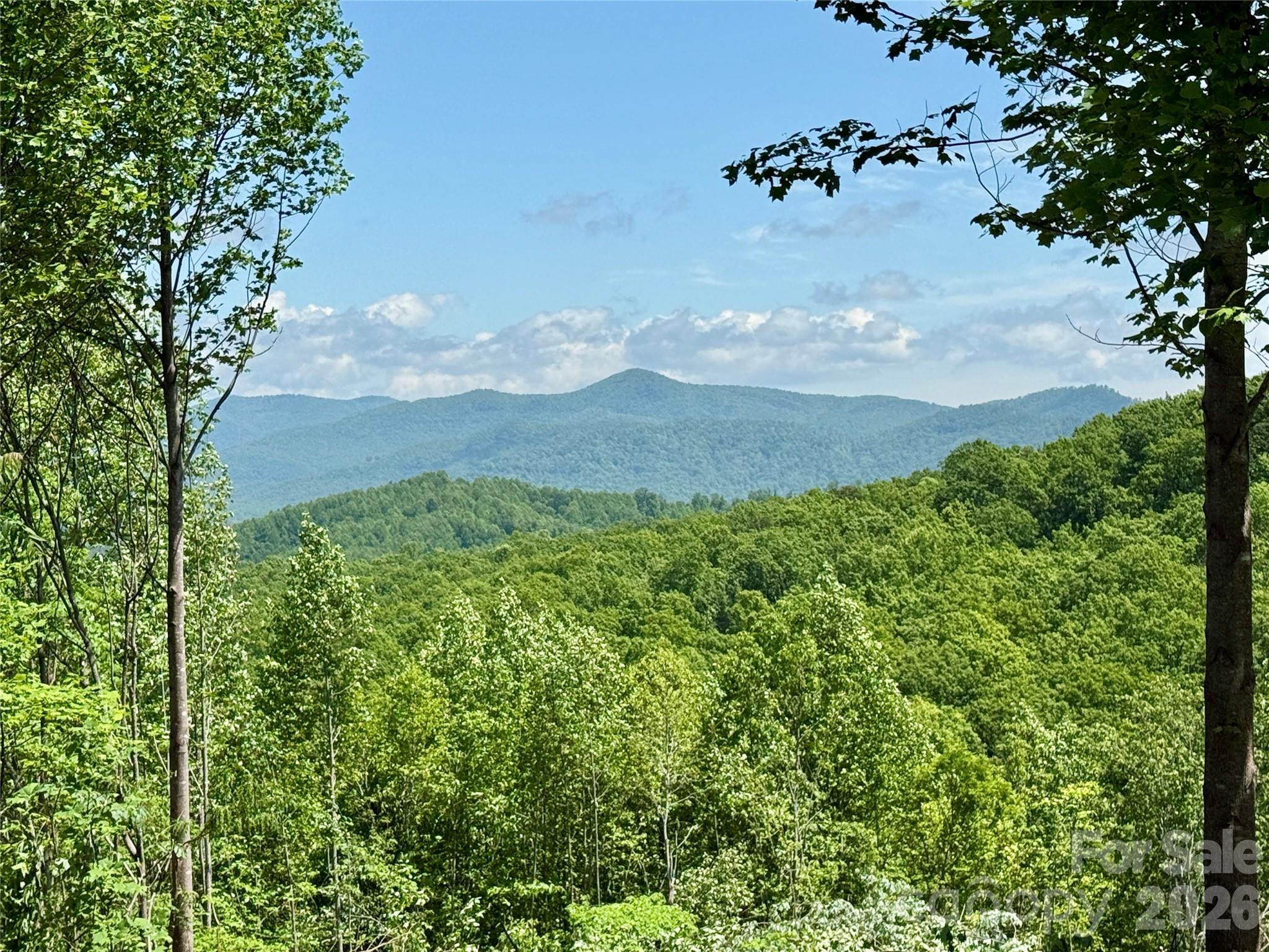 1143 Grandview Peaks Drive