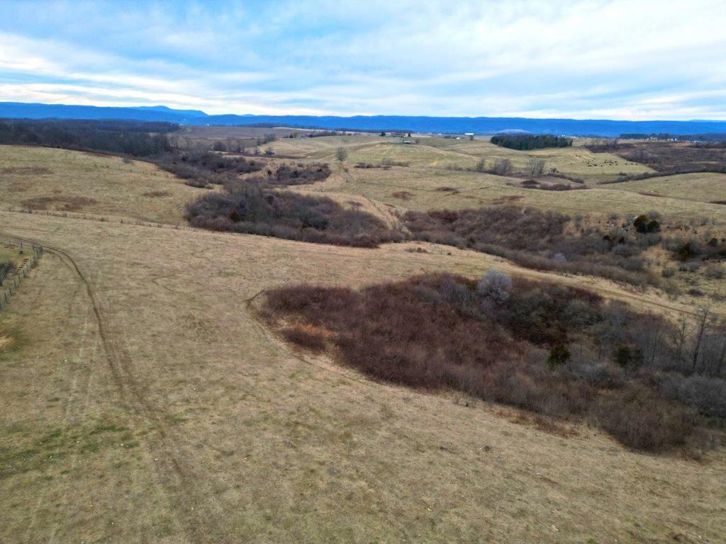 This is a great development property! Minutes to Radford, easy access to Dublin, Pulaski, & I-81. Get there quick from this blank canvas. Live, farm, or develop; it's up to you. See attached aerial, topographical map, county water & sewer maps, survey & old preliminary lot layout. This property is mostly open, it's fenced & cross-fenced, so come build your dream farm. In Land Use. High Density Residential Zoning - see water & sewer maps. Pulaski County Schools: Riverlawn Elementery, Pulaski Middle & High.