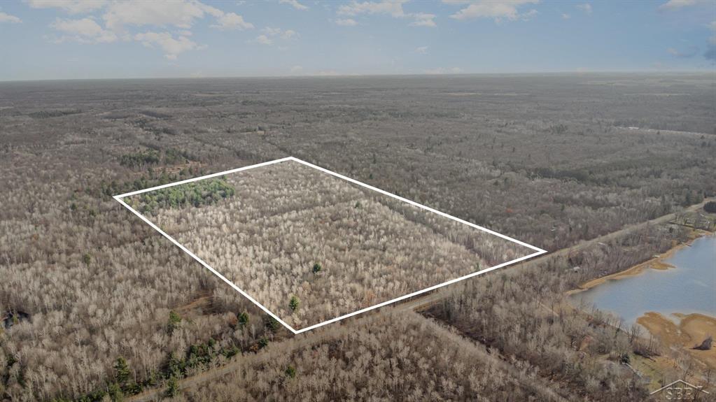 Discover 76.95 acres of unspoiled, fully dry land-an ideal combination of dense woods, privacy, and wildlife habitat. This expansive property is perfect for hunters, outdoor enthusiasts, or anyone dreaming of a secluded building site surrounded by nature.  Towering hardwoods and mature pines blanket the landscape, offering natural cover for deer, turkey, and small game. With a mix of gently rolling terrain, established trails, and multiple potential stand locations, the land provides exceptional hunting potential right out your back door.  For sale signs located approximately at North & South corners of the parcel.