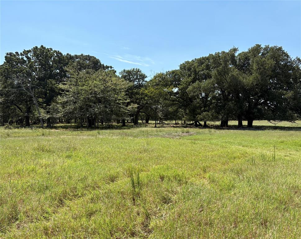 Approx. 22  ag-exempt acres with sandy soil and  good grass with a small amount of woods. Conviently located only 15 minutes from Sulphur Springs and in the Miller Grove ISD! Located just off FM 1567 and on quiet County Road offers easy access and the peace of the country. Property is fenced with some cross fencing and improved meadows for grazing and hay production. The scattered Oak trees provide just enough shade for livestock, wildlife or recreation. This is a great location for that new home, investment, recreation, camping or that weekend getaway spot. Located between Sulphur Springs, Emory, Miller Grove and Lake Fork puts you right in the middle of some great East Texas living. Property already has a water line to it and electricity on site as a bonus to ease some of the expenses. Seller is also open to selling a smaller tract to work with buyers needs. This might be your place with enough room for your home, livestock, shop, garden or whatever you desire. NO KNOWN RESTRICTIONS allow you do it your way!