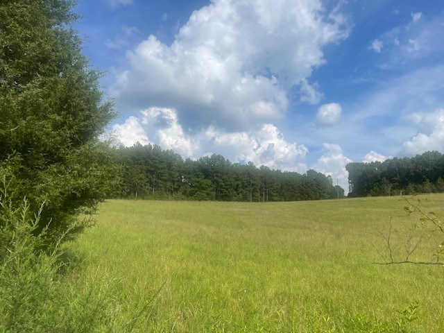 0 Tennessee Ridge Road