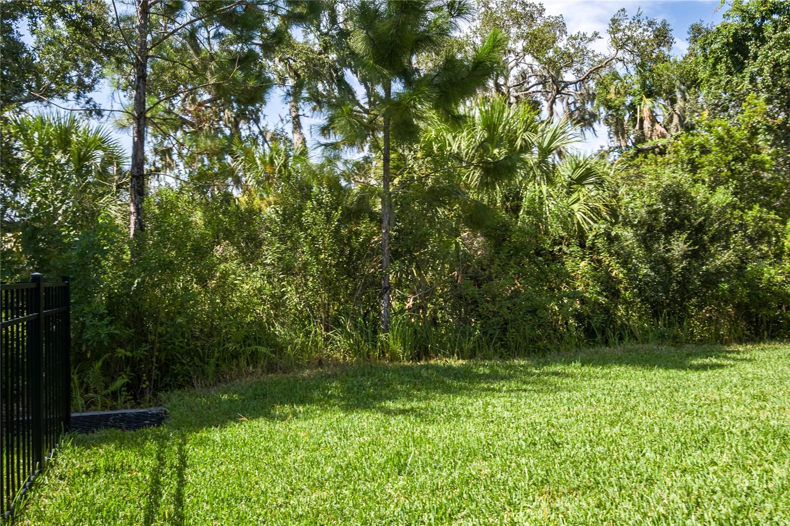 10929 Sand Pine Lane