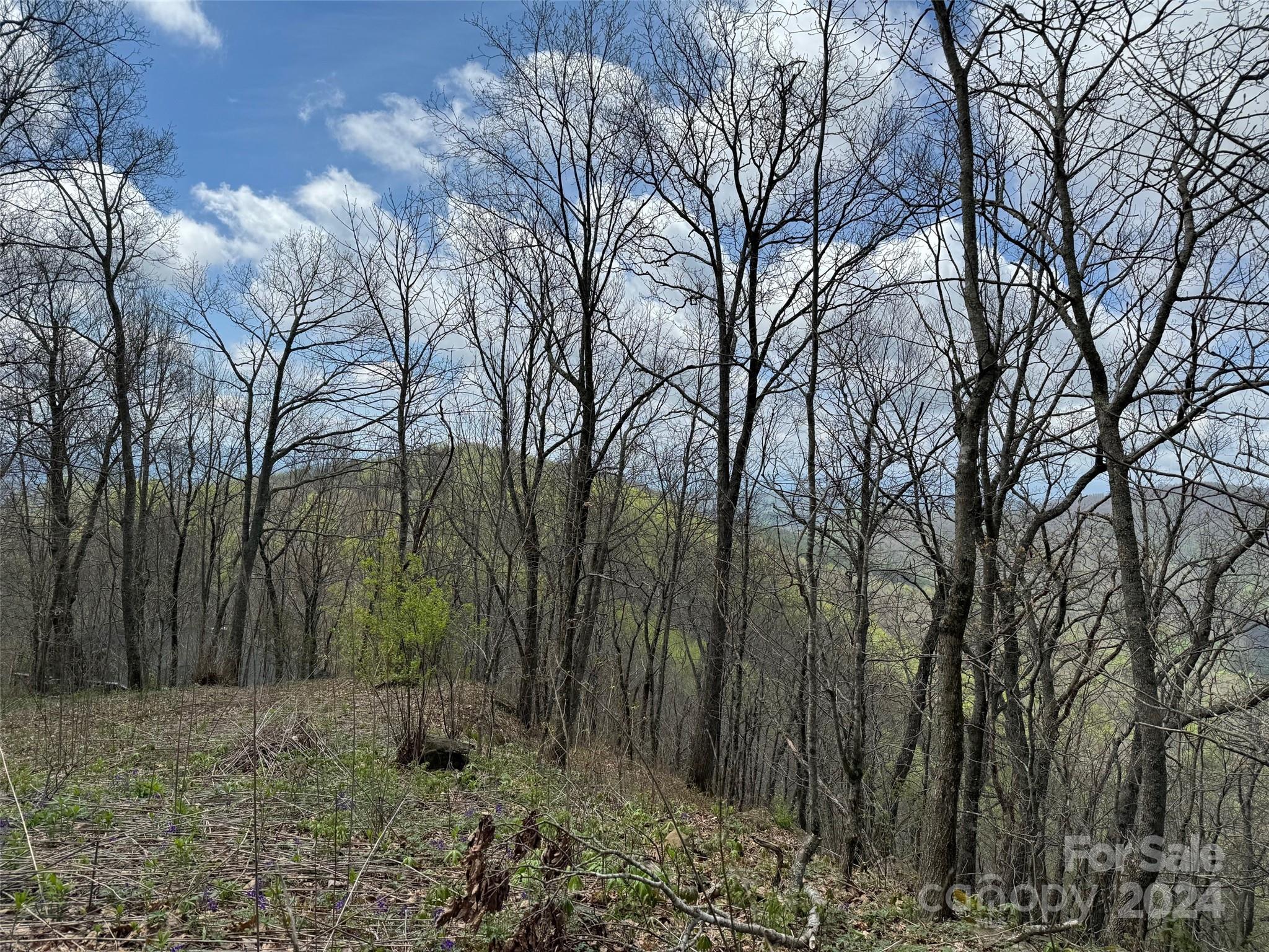 99999 Hickory Forest Road