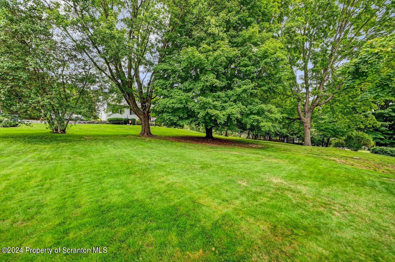 400 Montrose Avenue L113