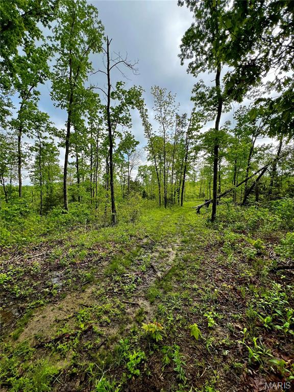 382 Furnace Creek Road