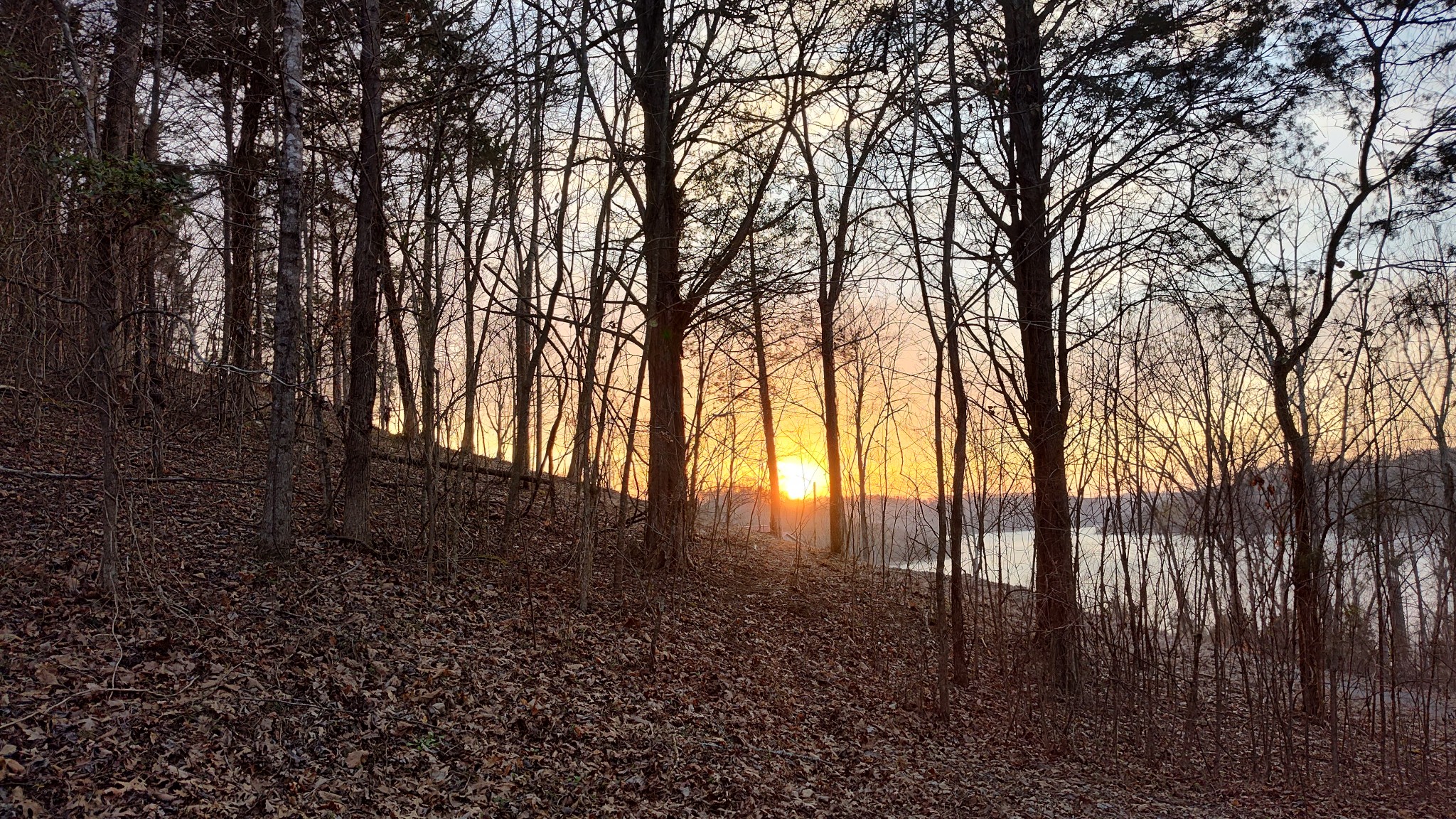 Nestled in an exclusive lake community just one hour from BNA, this exceptional property offers breathtaking sunset views and direct connection to U.S. Army Corps of Engineers land. Located only 5 miles from Edgar Evins State Park & Marina and 15 miles from Hurricane Marina, this is a rare opportunity for those seeking lake life at its finest. With its west-facing orientation, you’ll enjoy stunning sunset views over the water. Build on the lower portion for a serene retreat, or elevate your home to capture 300+ degrees of panoramic lake views, embracing both eastern sunrise and western sunset vistas. Whether you're envisioning a luxury lake home, a private getaway, or an investment property, this land offers unparalleled potential in a highly sought-after location. Don’t miss this chance to own a piece of paradise—schedule a viewing today!