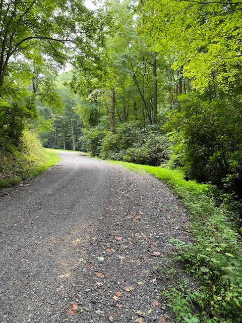 Fiddle Fern Loop
