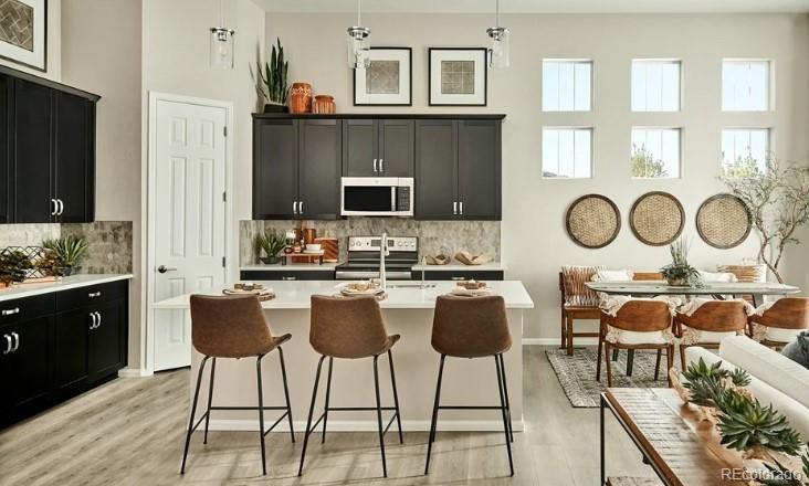 16717 Black Rose Circle