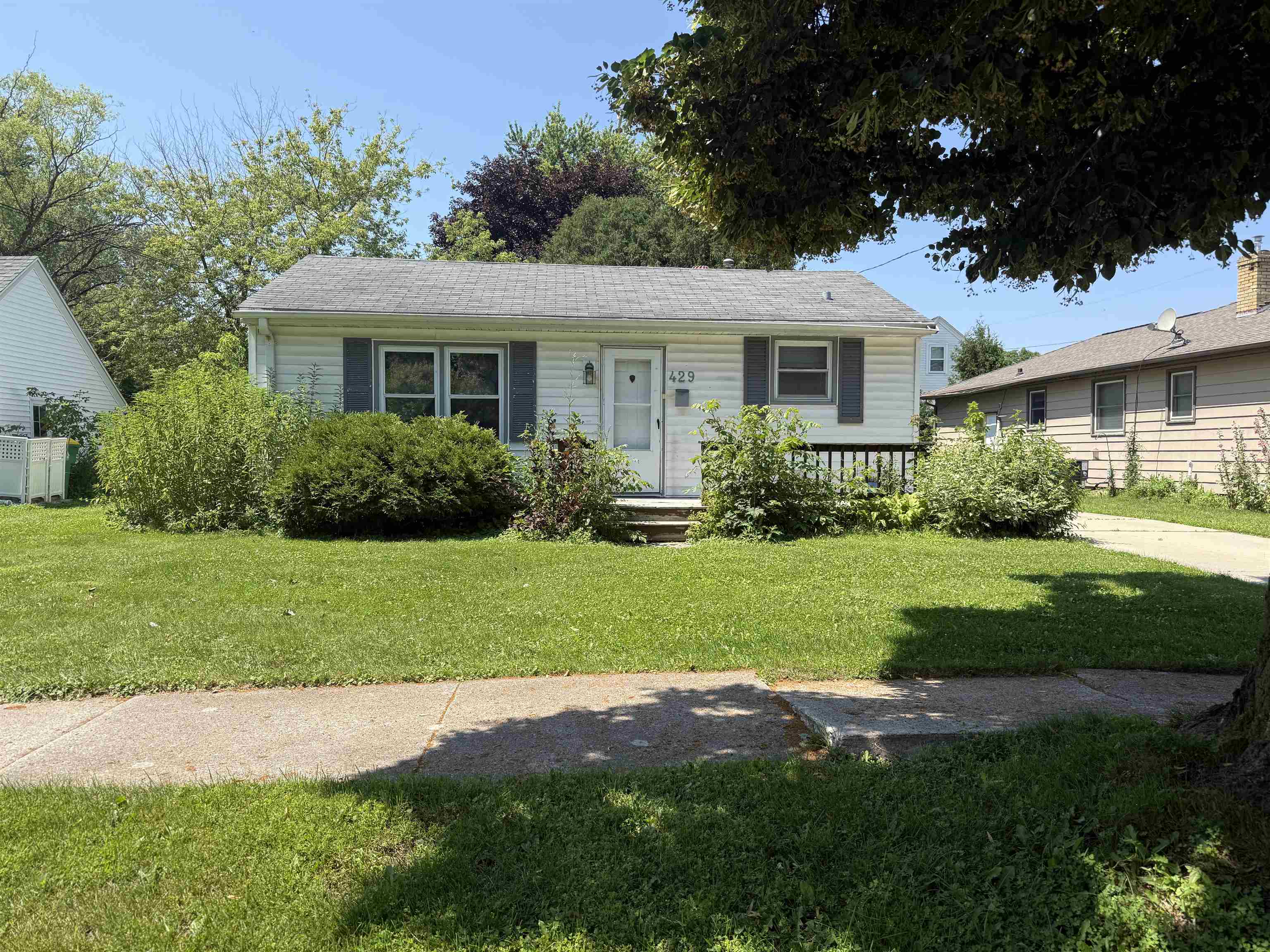 429 Wilson Avenue