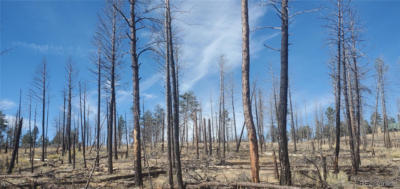 Lot 585 Leslie Loop