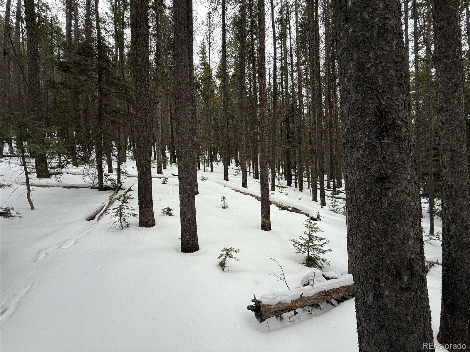 Lot 2805 Moir Drive