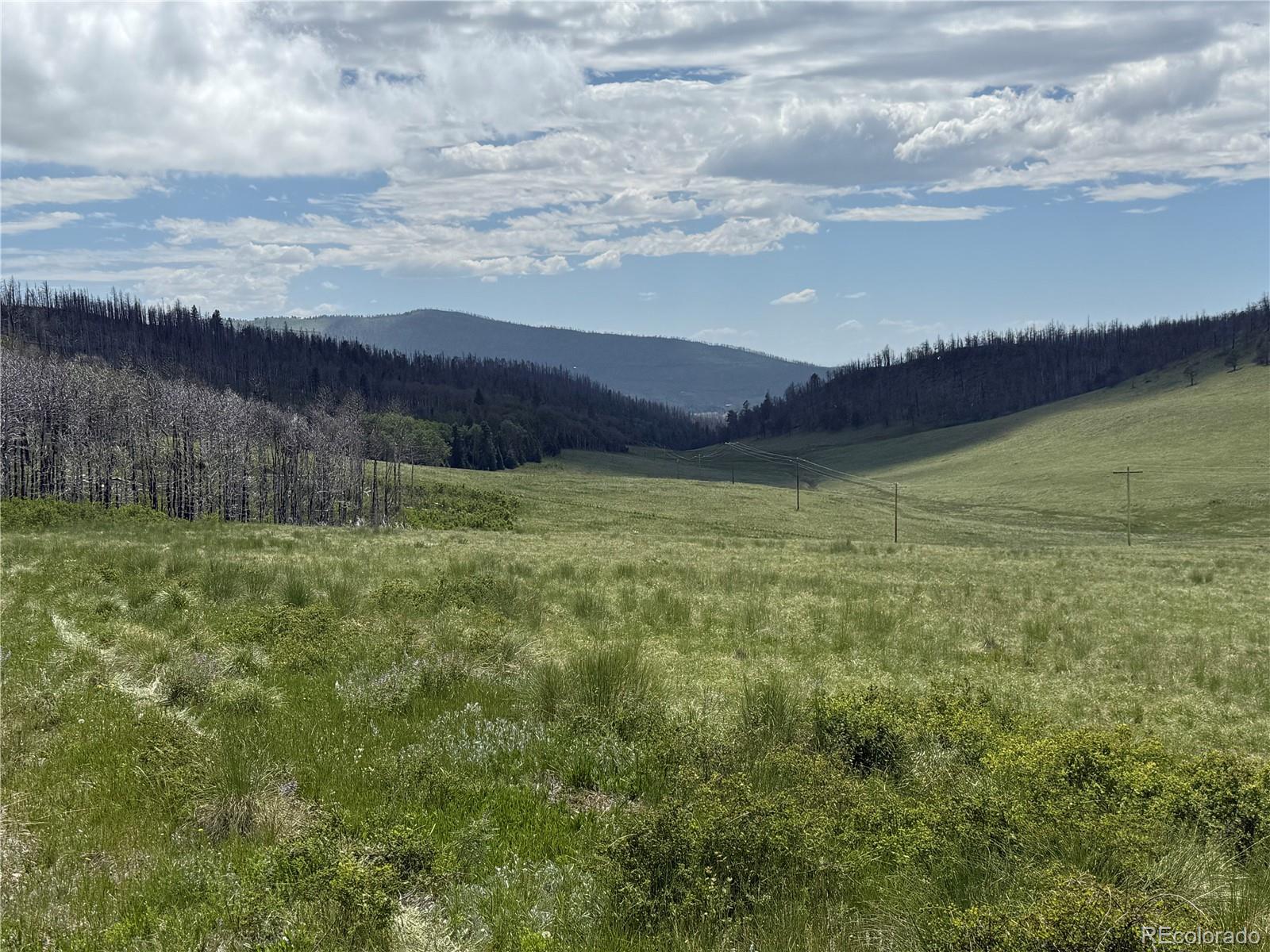 Lot 428 Powers Road
