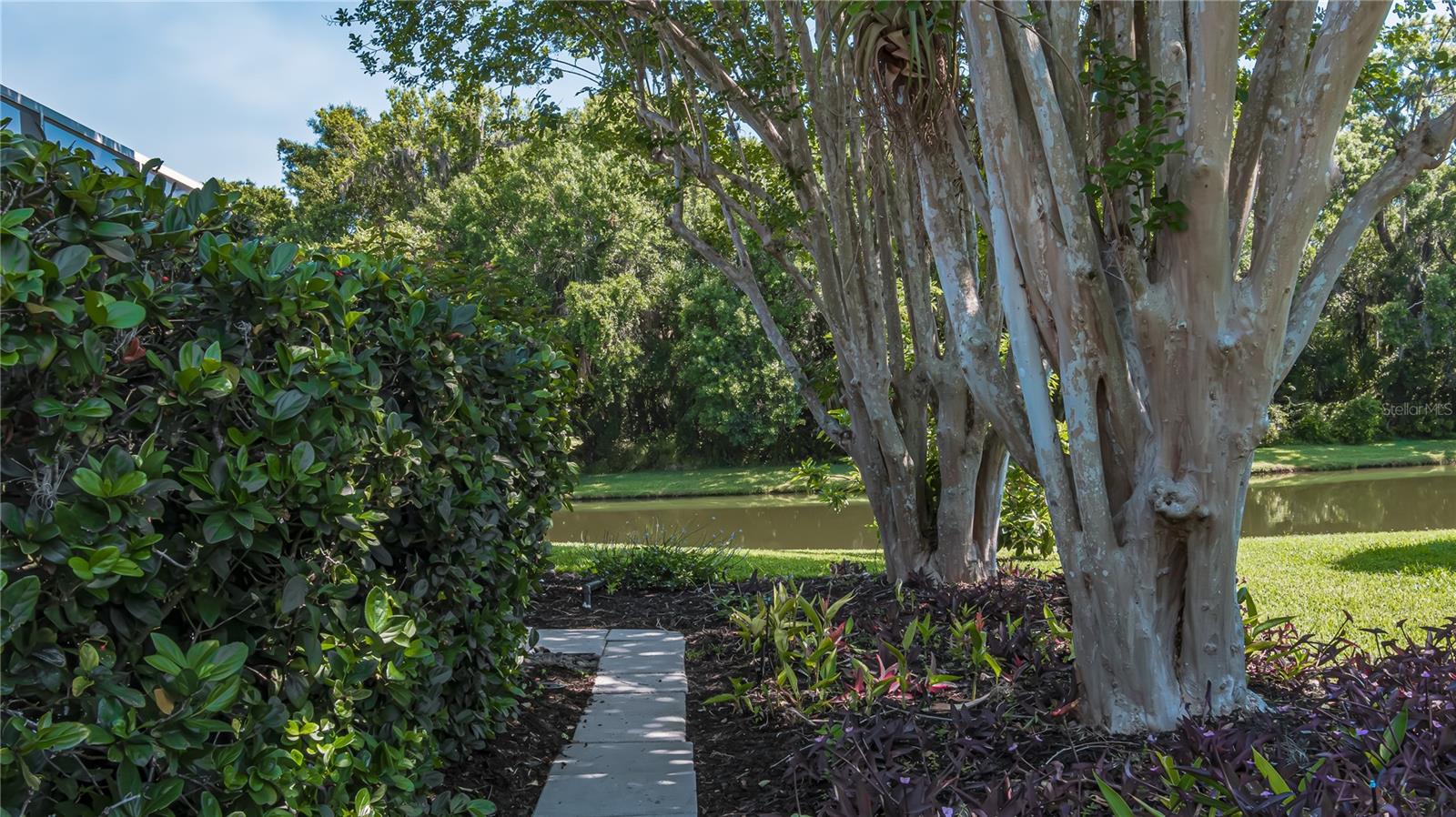 11806 Oak Ridge Drive