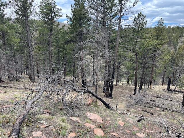 Lot 513 Leslie Loop