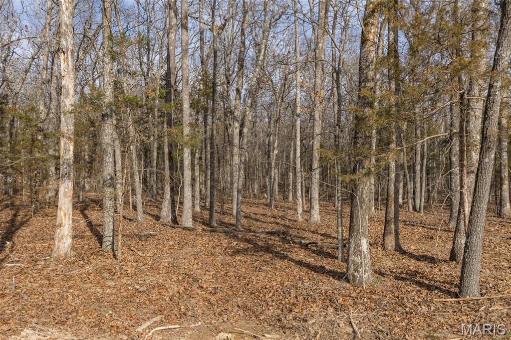 12.5+/- Acres On Effin Road