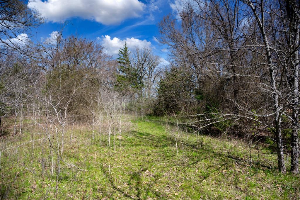 800 County Road 2390