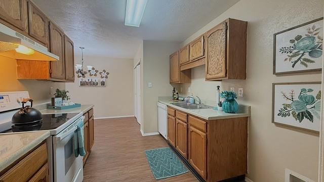7524 Blue Sage Circle