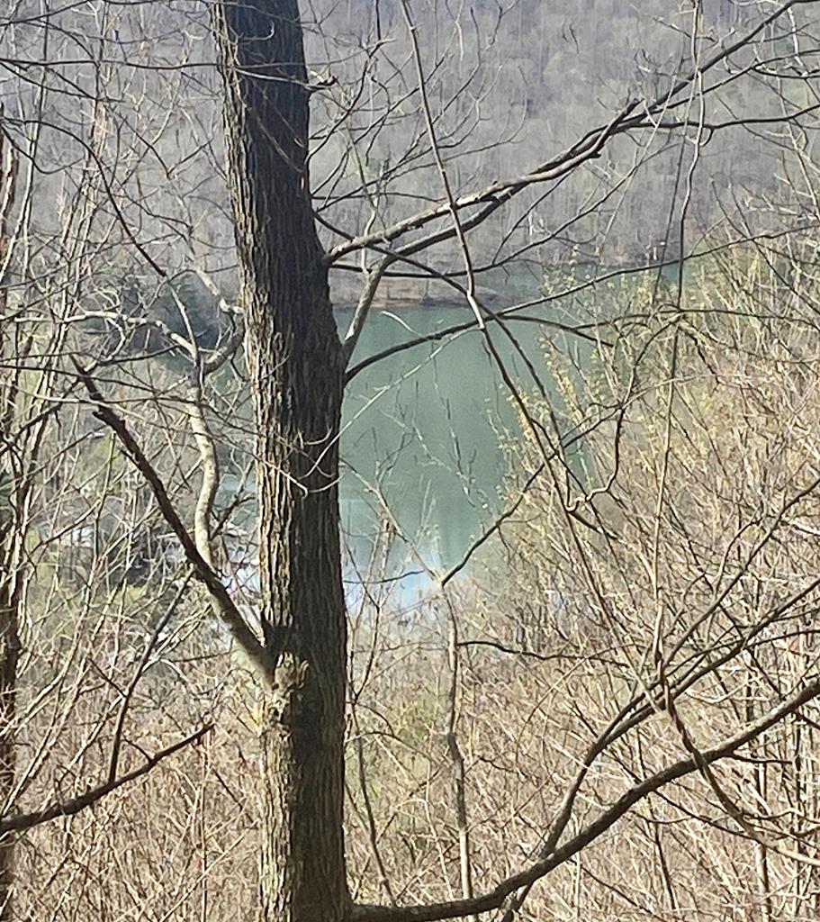 Discover the perfect blend of serenity, adventure, and convenience with this beautiful lot in Lakeview Mountain Hideaway, nestled in the heart of the Great Smoky Mountains. Enjoy stunning lake views of award-winning Lake Santeetlah along with breathtaking long-range mountain vistas that stretch for miles.  This homesite offers the ideal setting to build your dream mountain retreat, where peaceful surroundings meet easy access to town amenities. Whether you're seeking a full-time residence, vacation getaway, or investment opportunity, this property delivers.  Outdoor enthusiasts will love the close proximity to some of the region's best recreation, including boating, fishing, hiking, and whitewater rafting. Plus, you're just a short drive from the legendary Tail of the Dragon—a world-renowned destination for scenic driving and adventure.  Embrace the mountain lifestyle with fresh air, natural beauty, and endless opportunities to explore—all right outside your door.  Don't miss this chance to own a piece of the Smokies and create something truly special.