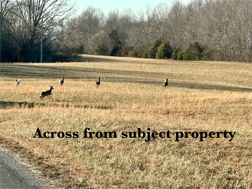 97.88 AC Hensley Cemetery Ln