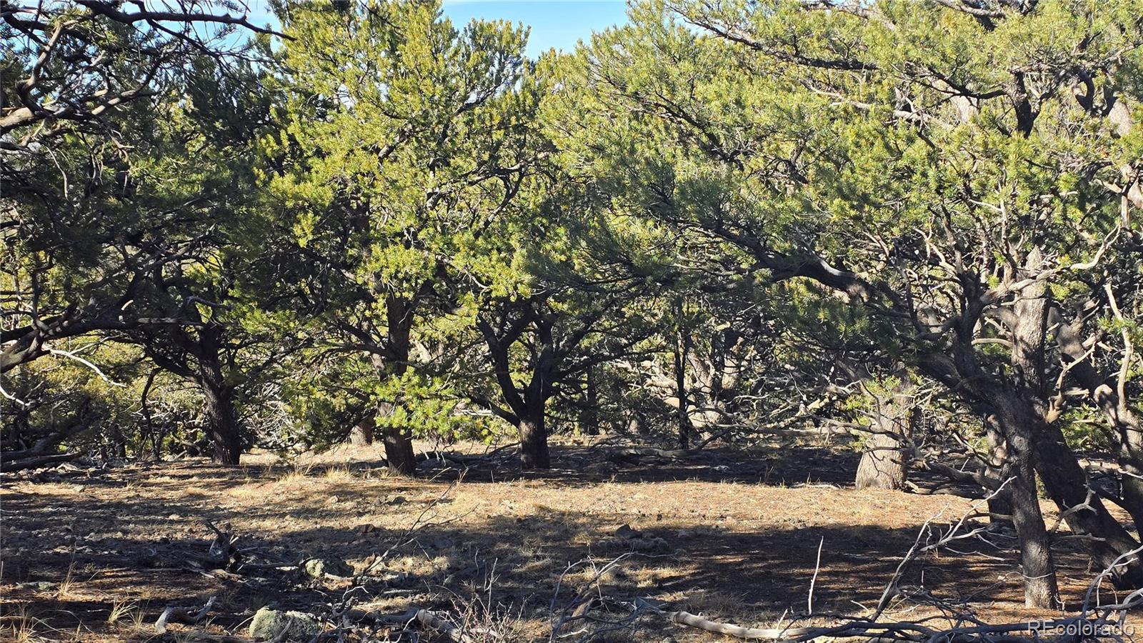 Lot 4510 Iannelli Road