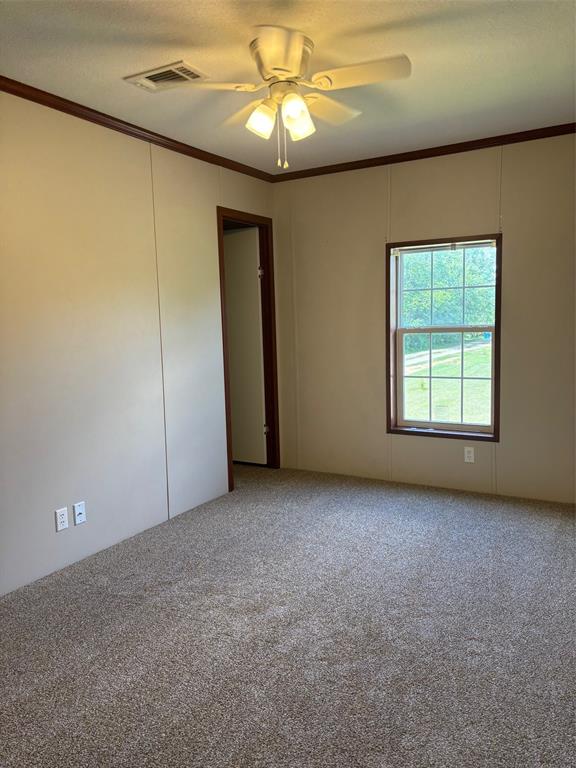 318 Luther Lane