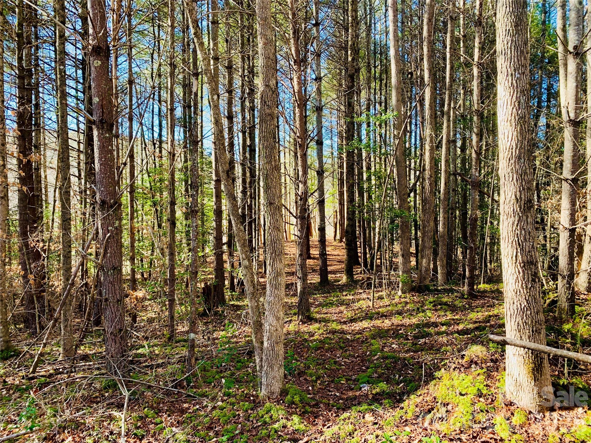 6129 Painted Ridge Trail Lot 739