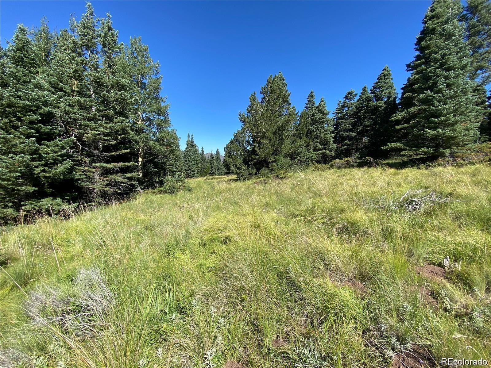 Lot 3141 Forbes Loop Road