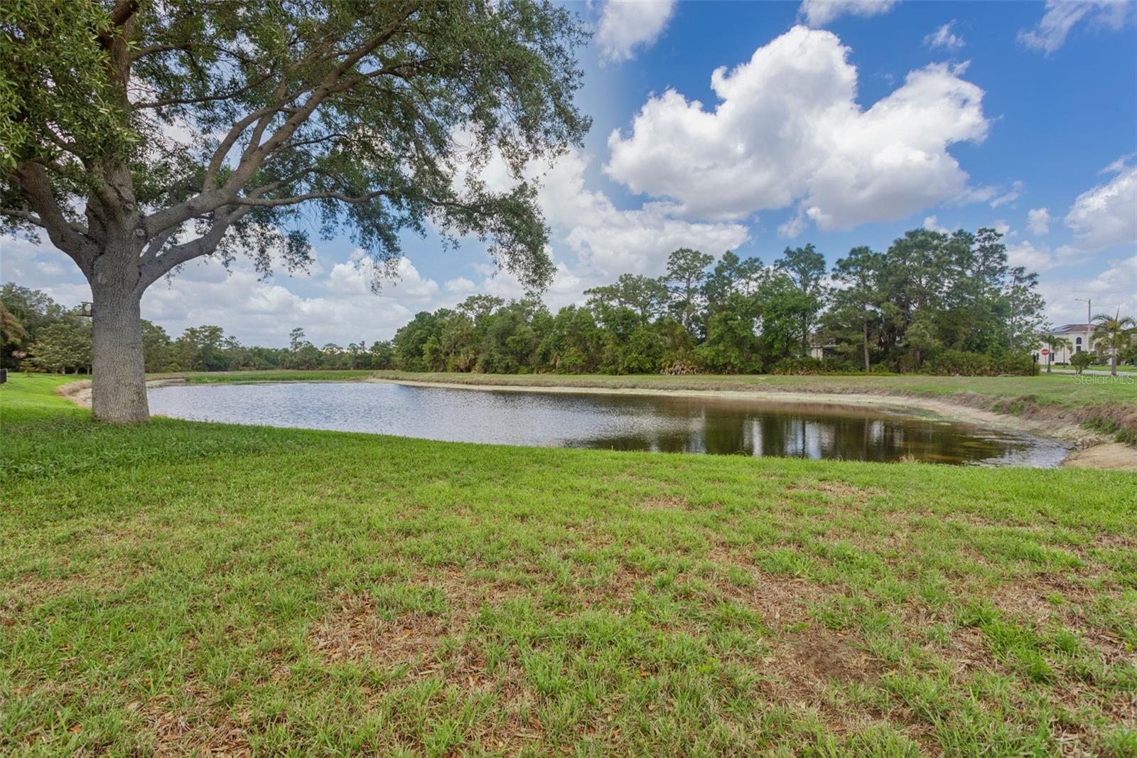 9103 Pinebreeze Drive