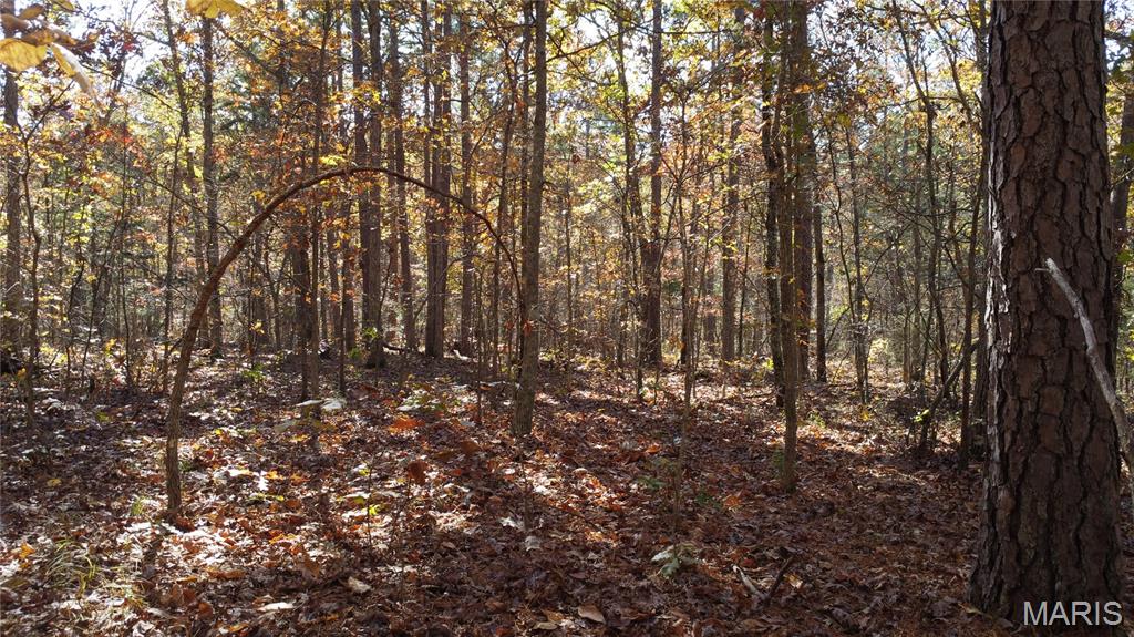 10256 Christina Trail